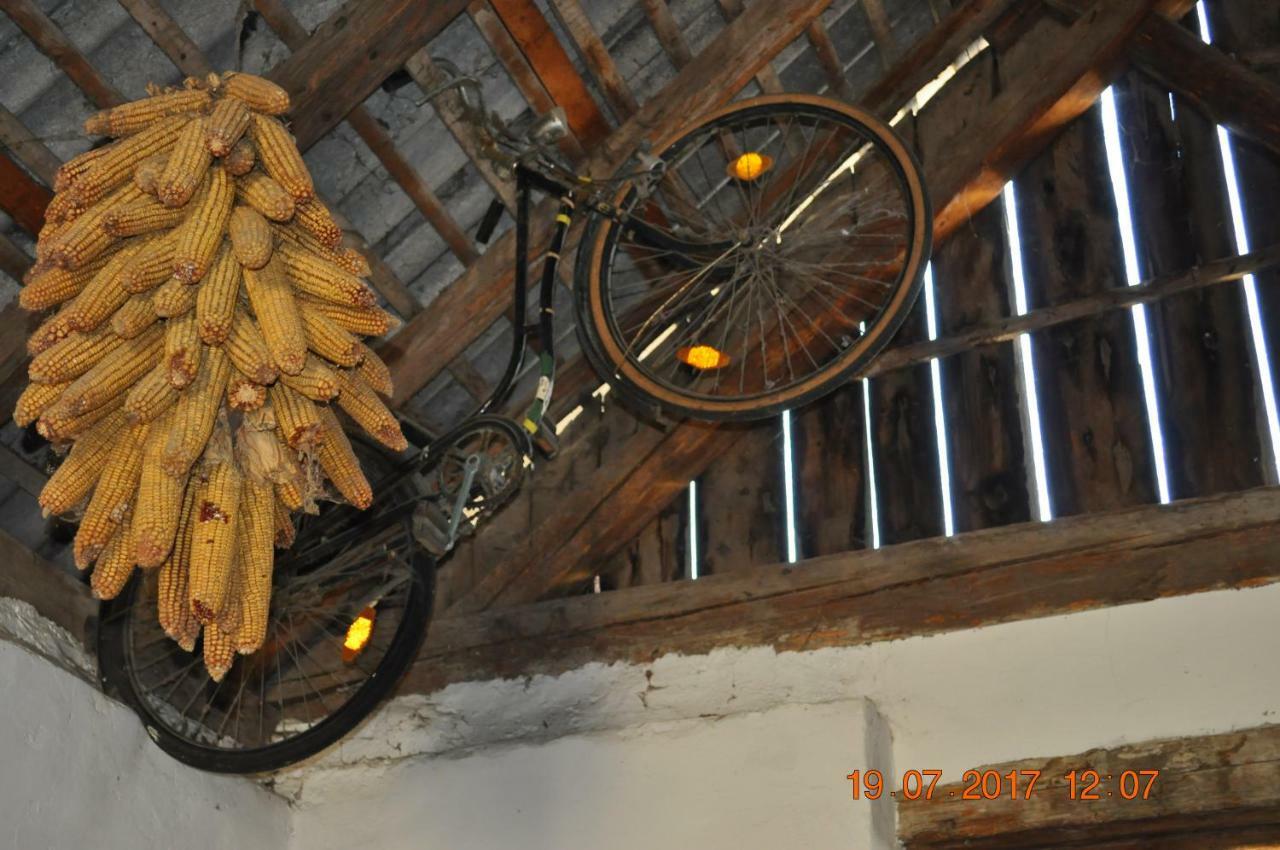 Appartmenthaus Josefikeller Podersdorf am See Eksteriør bilde